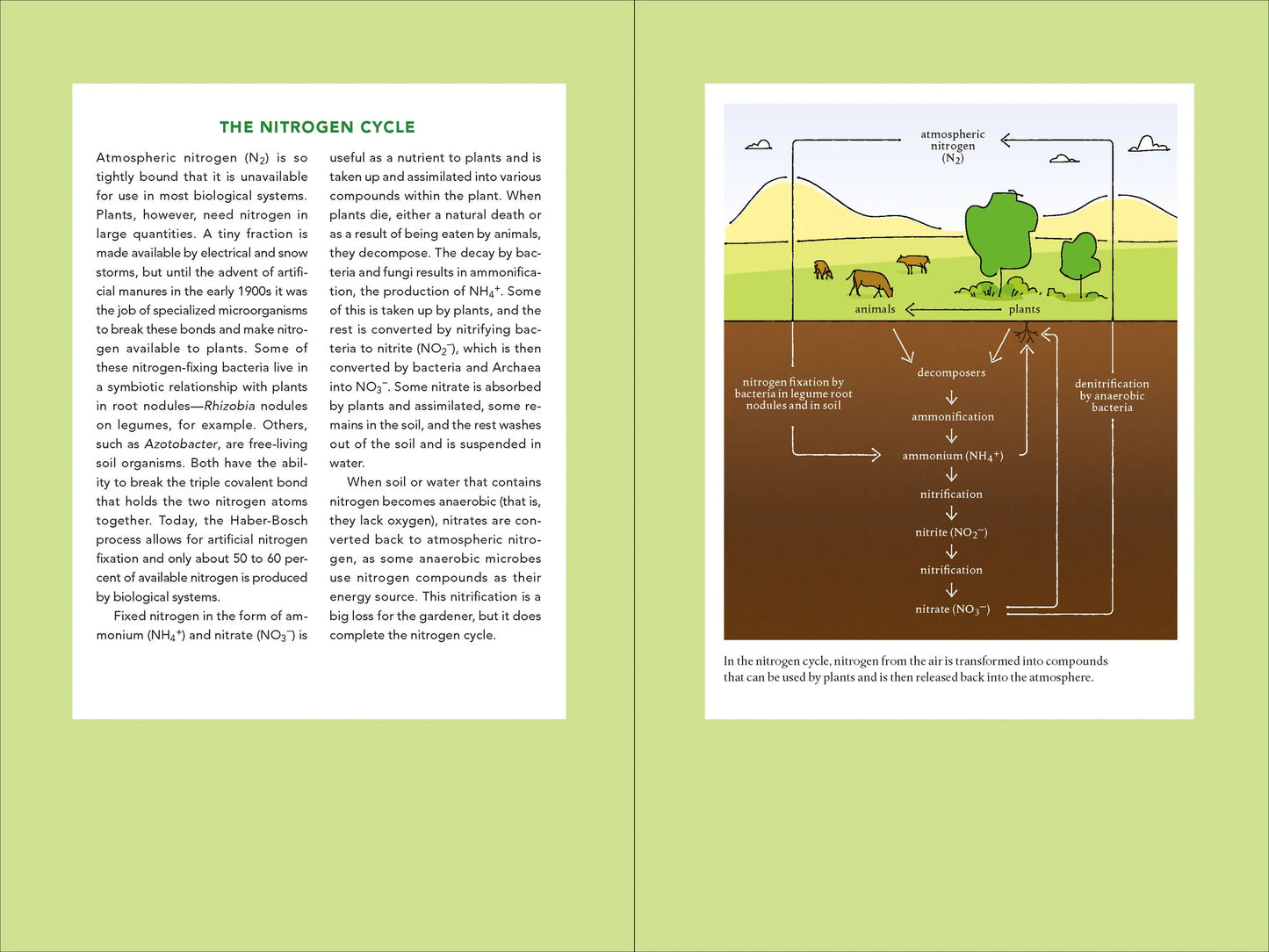 Teaming With Nutrients by Jeff Lowenfels