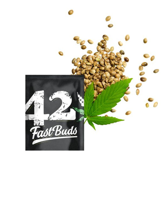42 FastBudz Autoflower Seeds