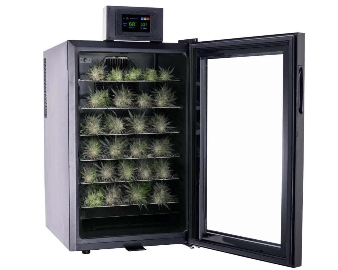 Cannatrol Cool Cure Box Tinted