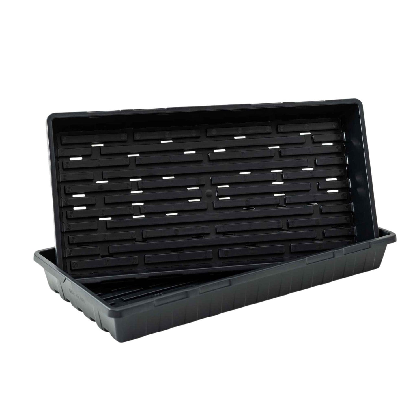 Shallow Propagation Tray with Holes