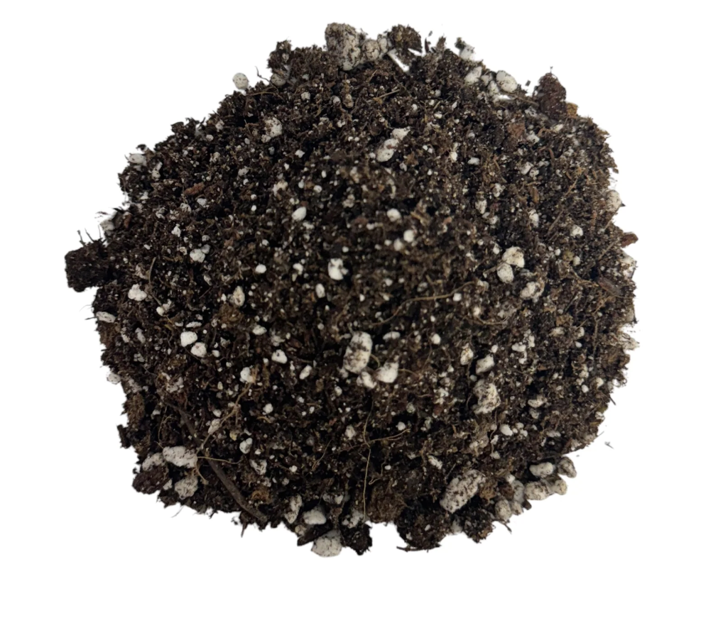 BuildASoil - Heady Start Seedling Soil 8qt