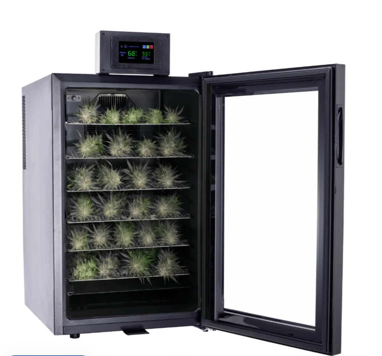 Cannatrol Cool Cure Box