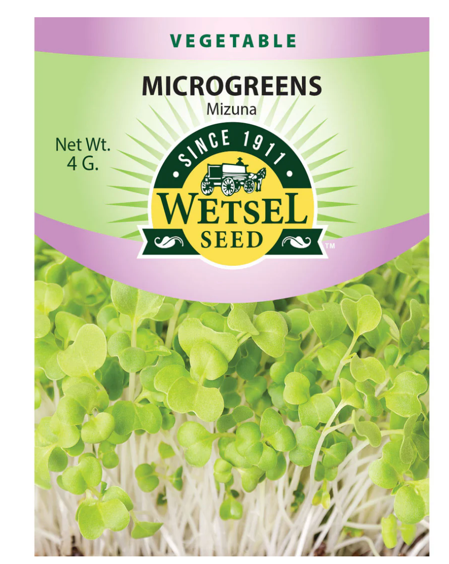 Wetsel Seed Microgreens, "Mizuna" 4g