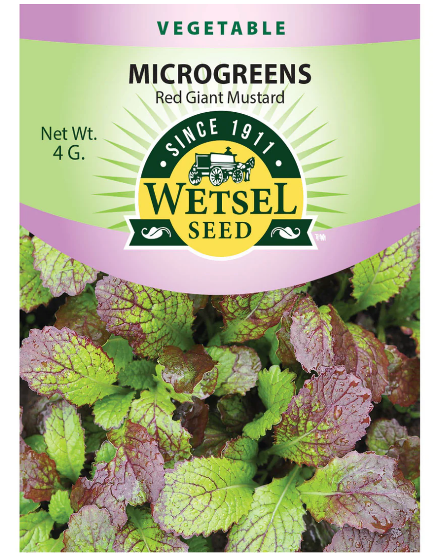 Wetsel Seed Microgreens, "Red Giant Mustard" 4g