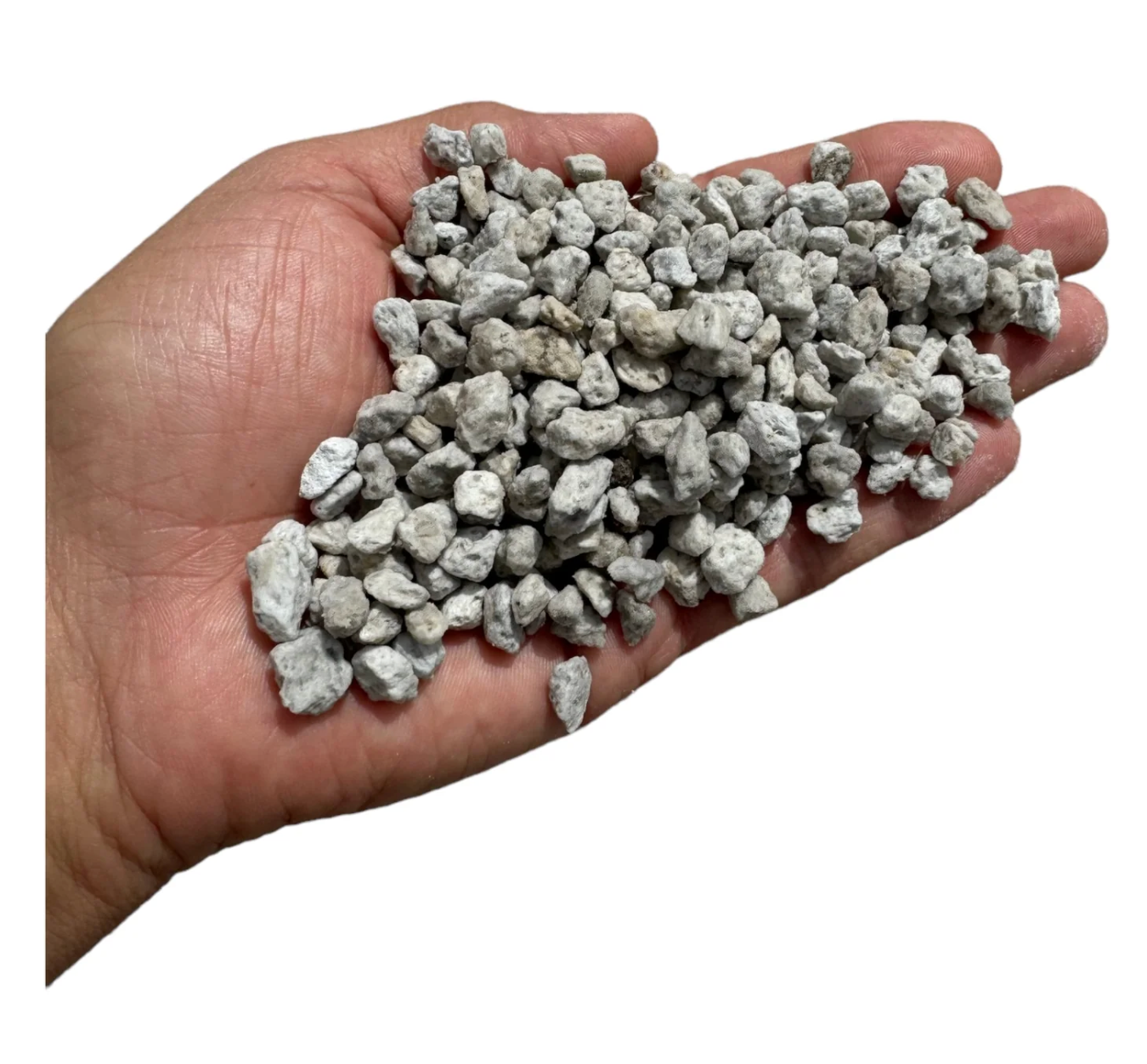 BuildASoil Pumice 7qt