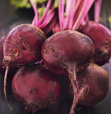 Wetsel Seed Vegetable, "Bull's Blood Beet" 2g