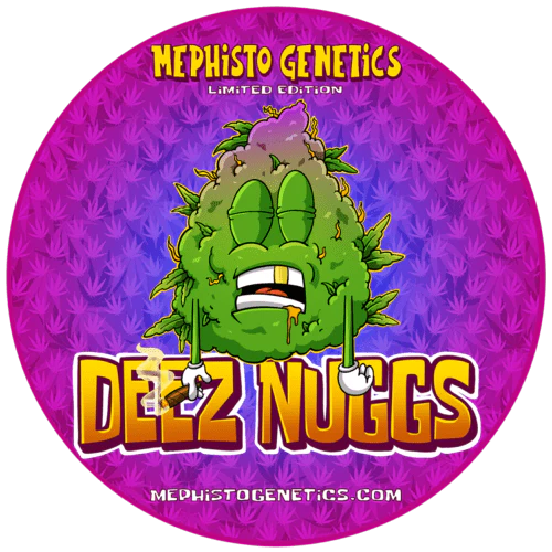 Mephisto Genetics "Deez Nuggs" 3pk Autoflower Seeds