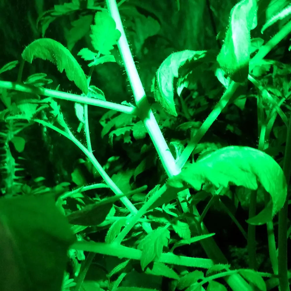 HTG Green LED Flashlight