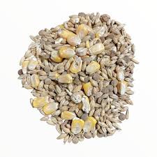 BuildASoil Clackamas Coots Gnarly Barley 2lb