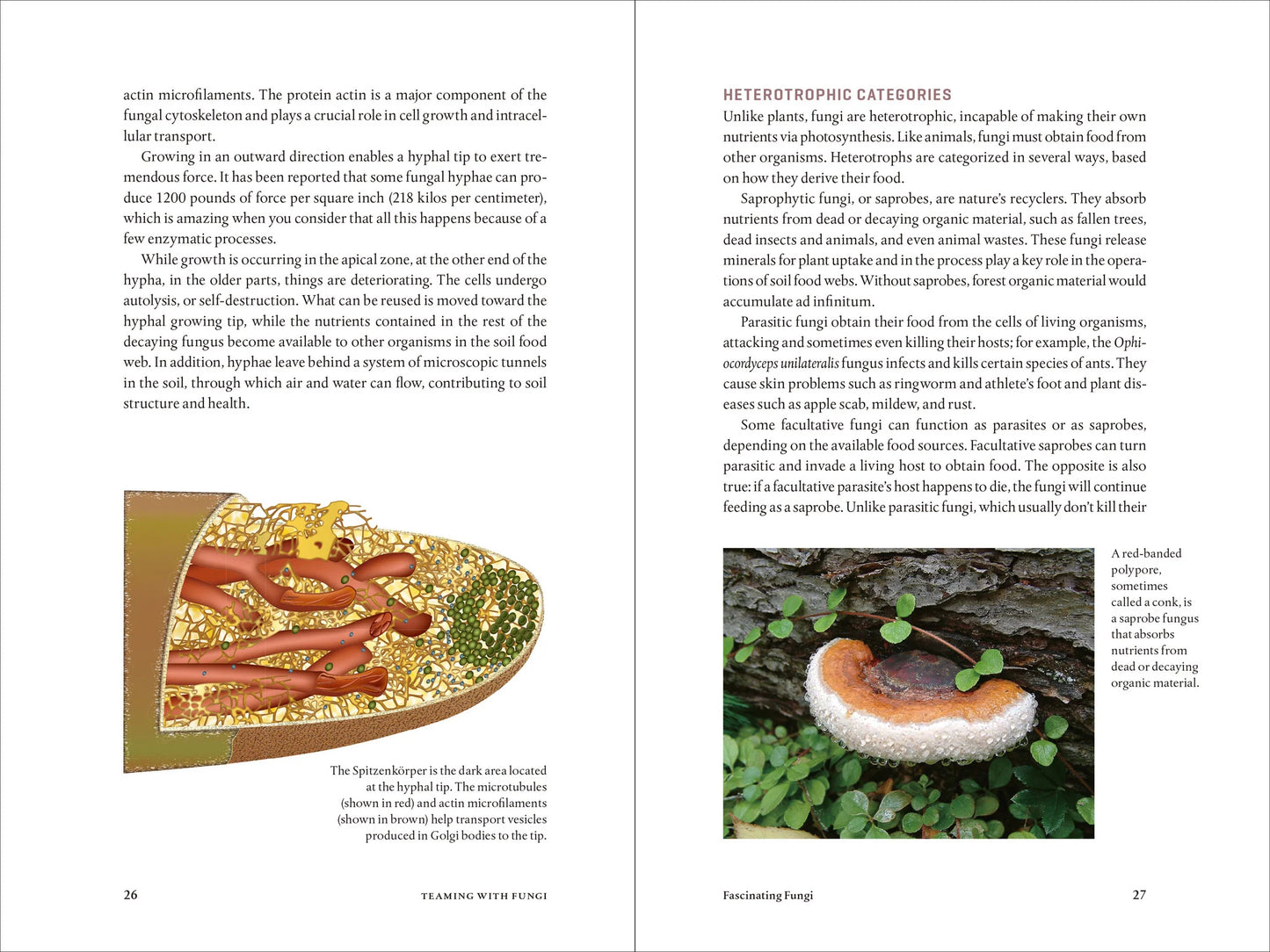 Teaming with Fungi by Jeff Lowenfels