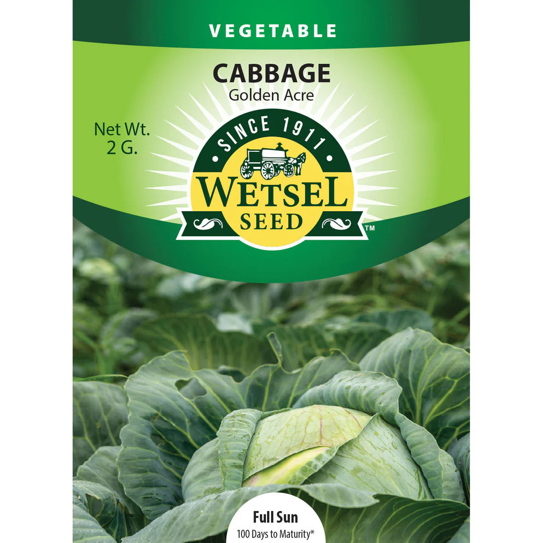 Wetsel Seed Vegetable, "Golden Acre Cabbage" 2g