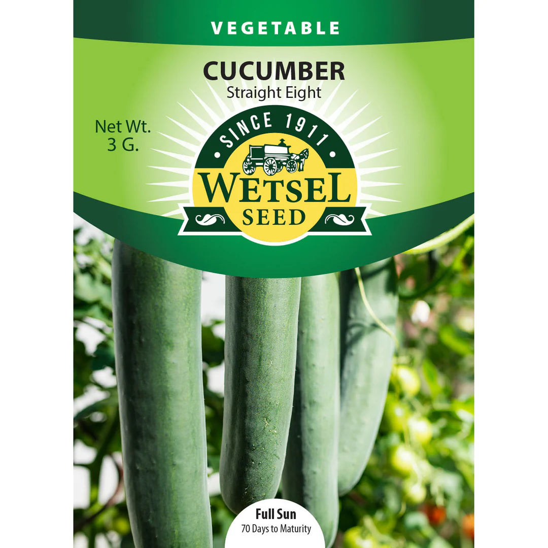 Wetsel Seed Vegetable, "Straight 8 Cucumber" 2g