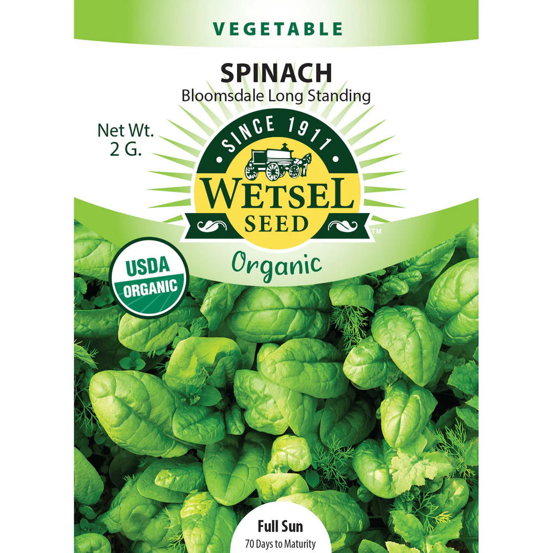 Wetsel Seed Vegetable, "Bloomsdale Spinach" 2g