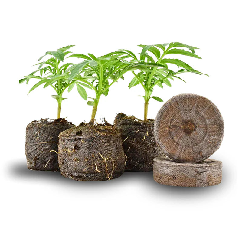 Jiffy Round Peat Starters