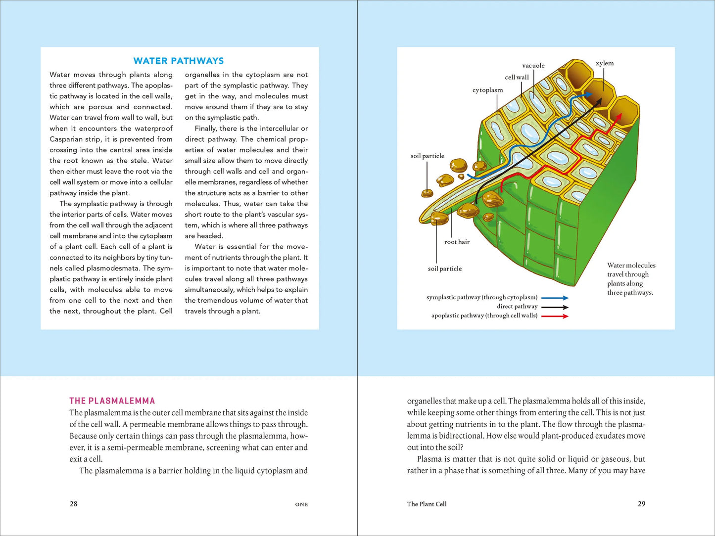 Teaming With Nutrients by Jeff Lowenfels