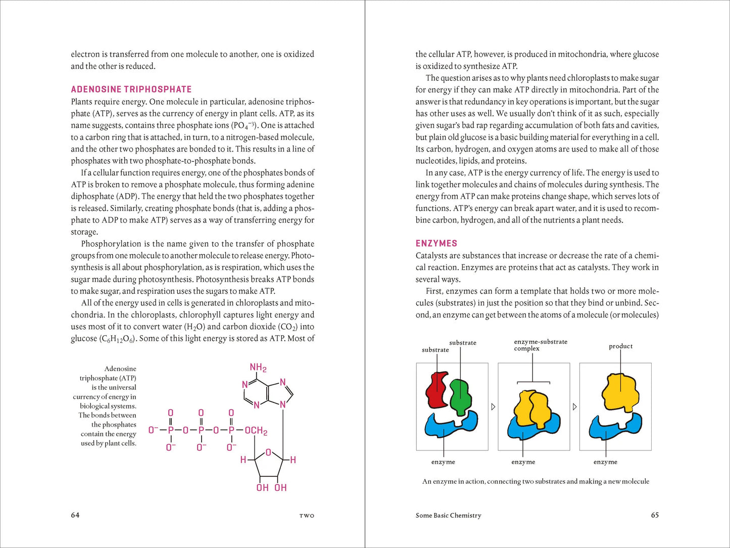 Teaming With Nutrients by Jeff Lowenfels