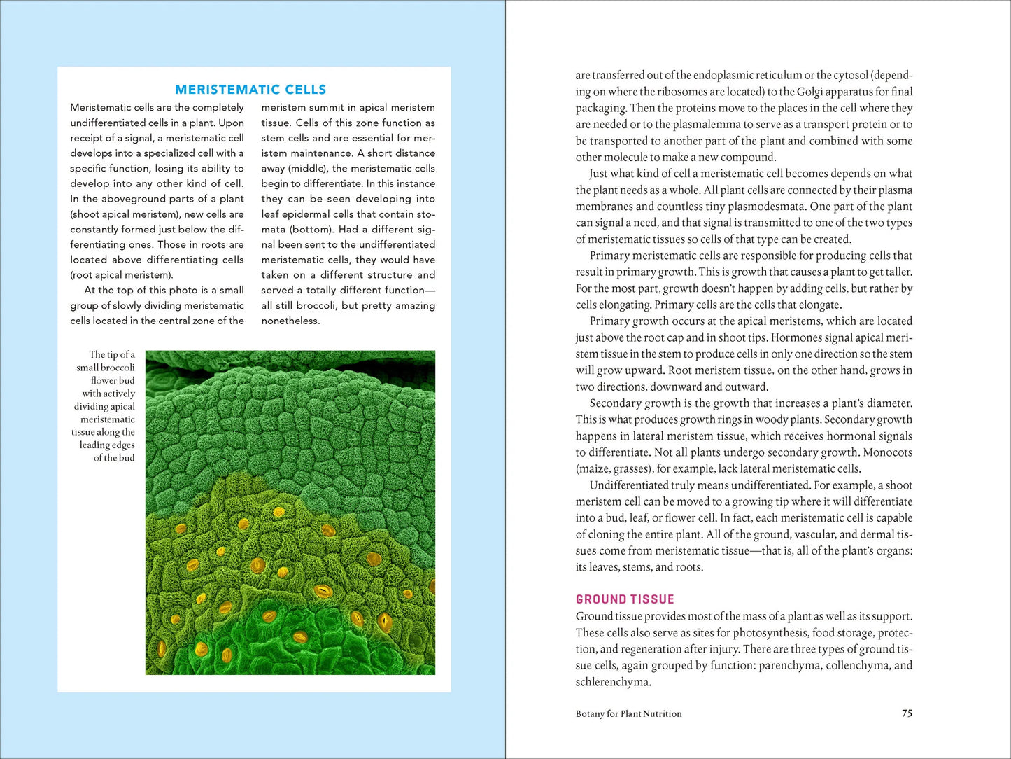 Teaming With Nutrients by Jeff Lowenfels