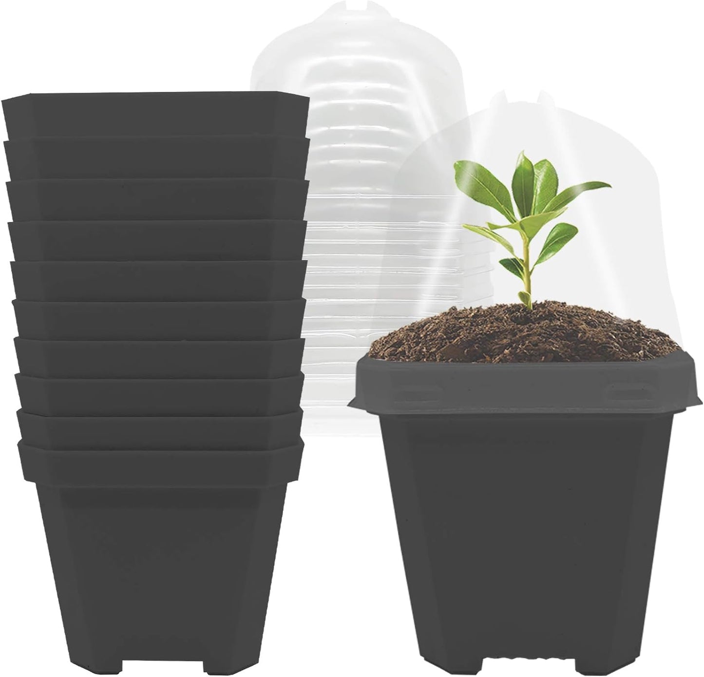 Premium Single Dome Pot
