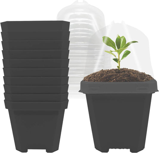 Premium Single Dome Pot