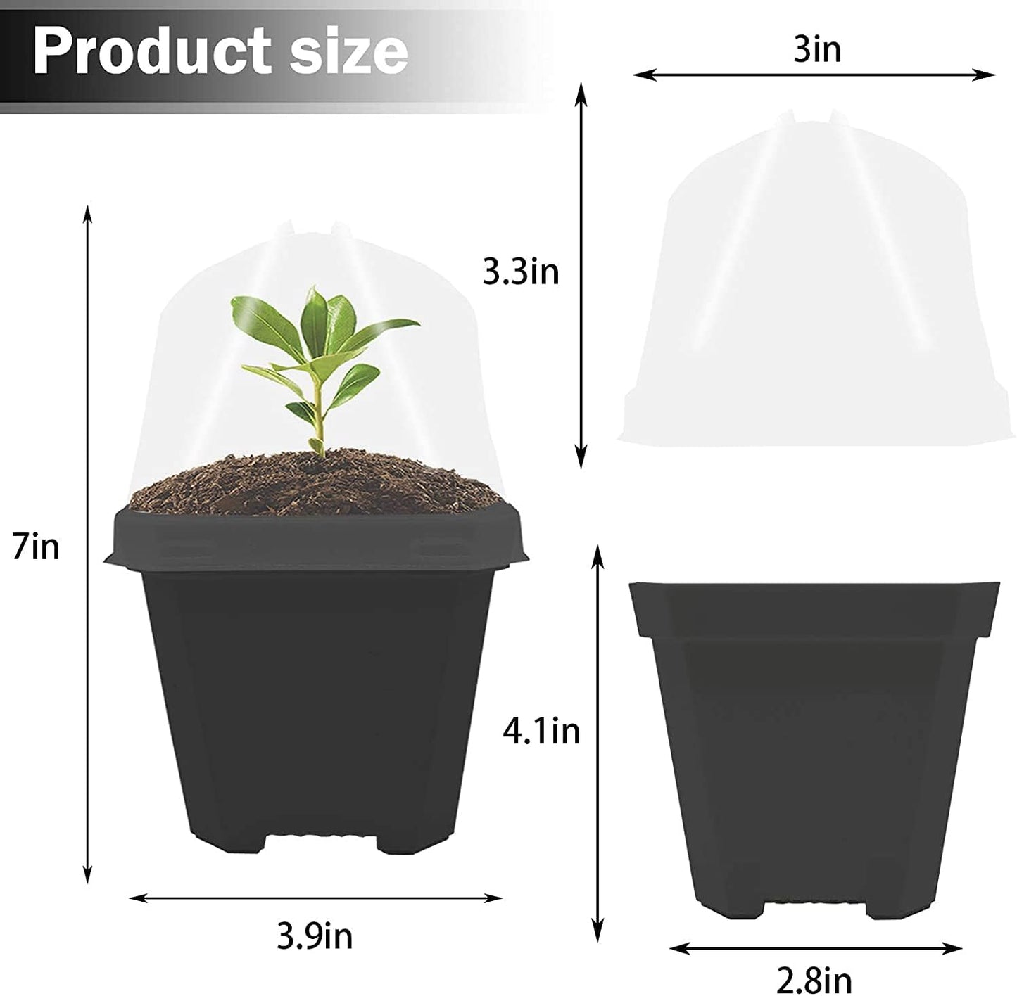 Premium Single Dome Pot