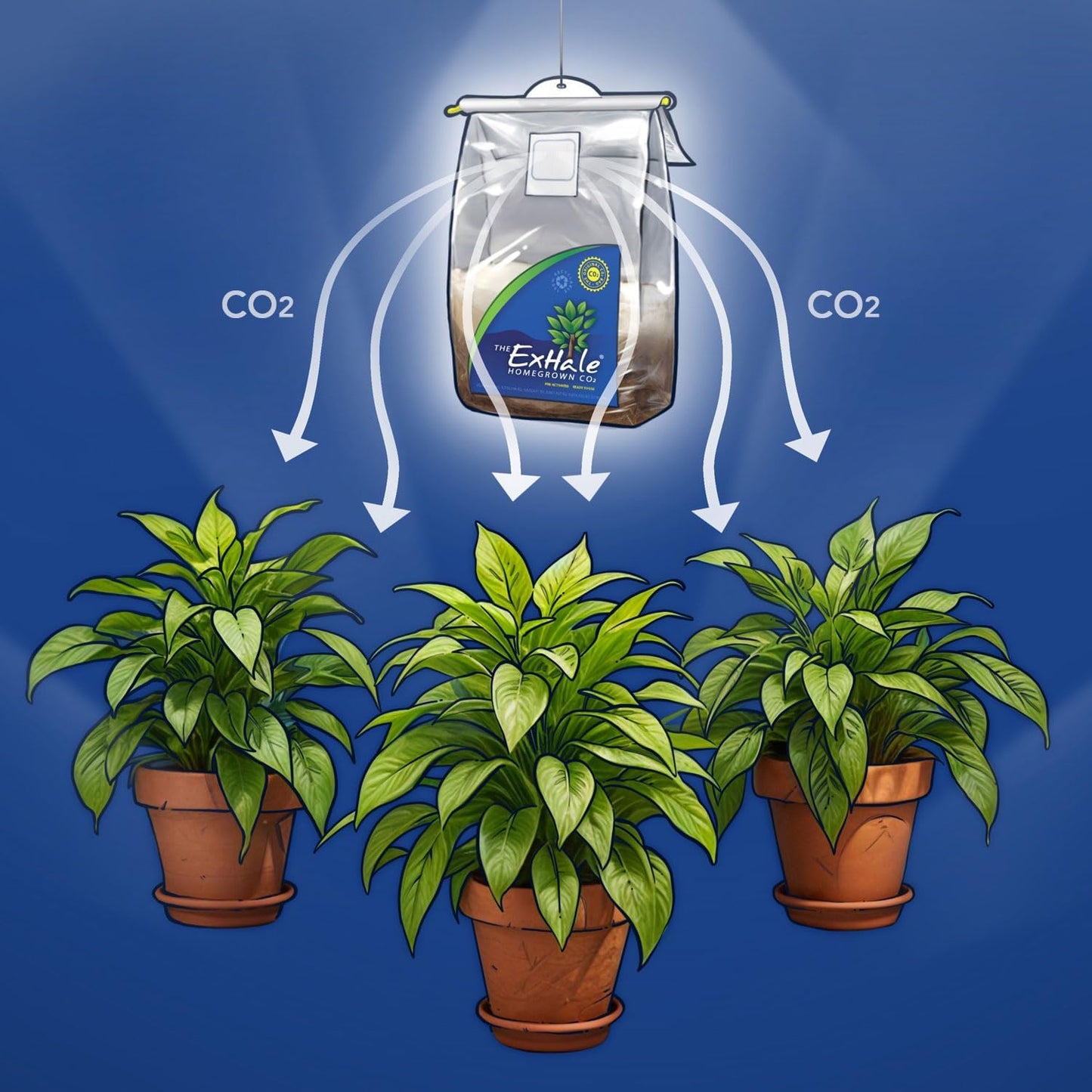 Exhale Co2 365 Self-Activated Bag