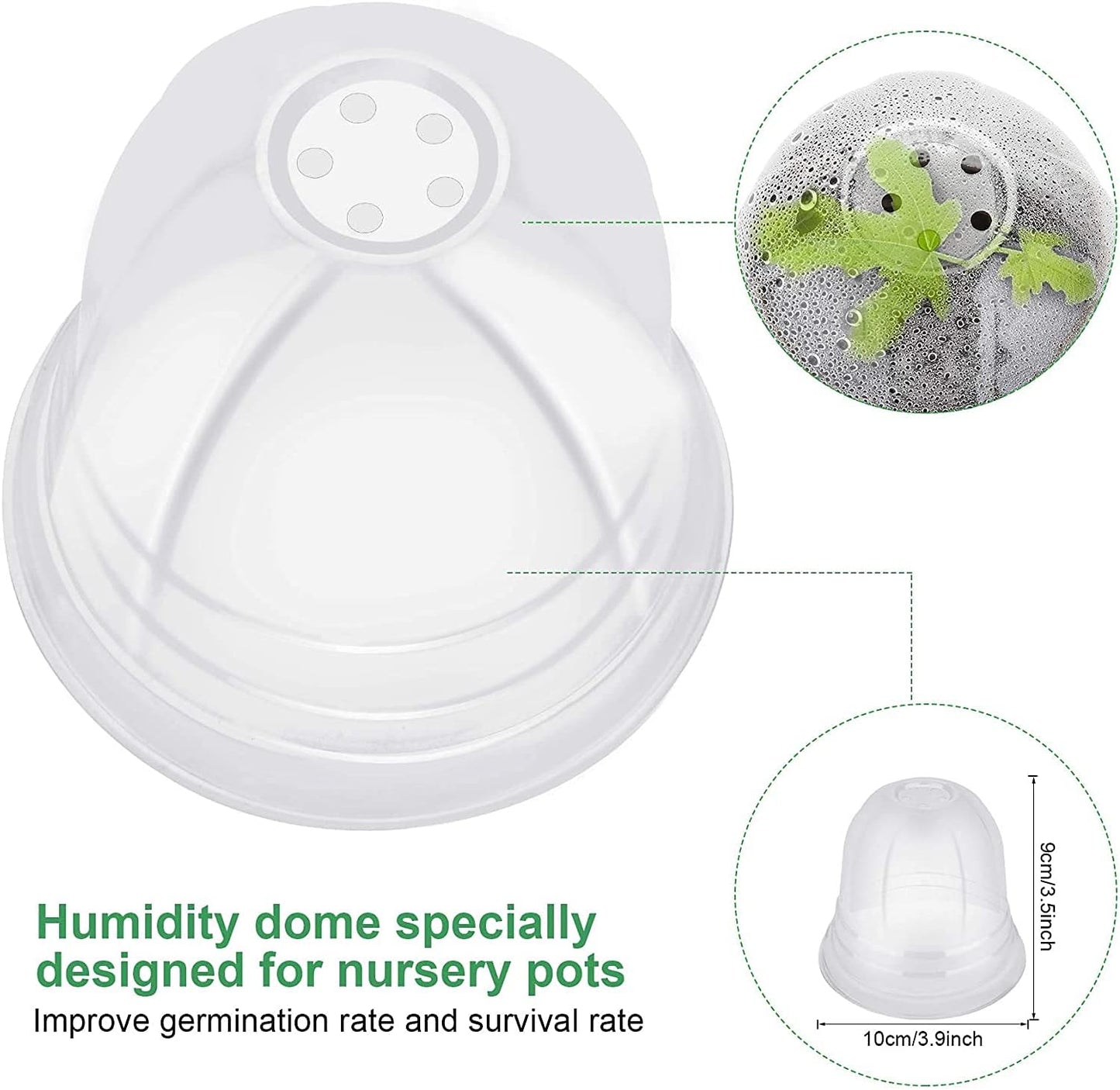Premium Single Dome Pot