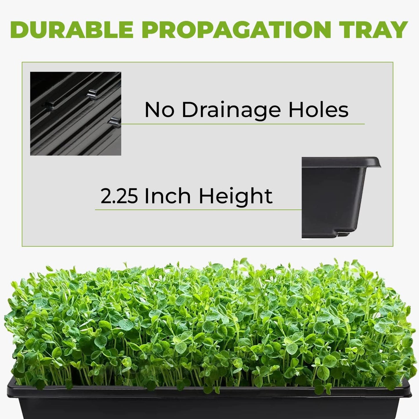 Super Sprouter Black Propagation Tray 10" x  20"