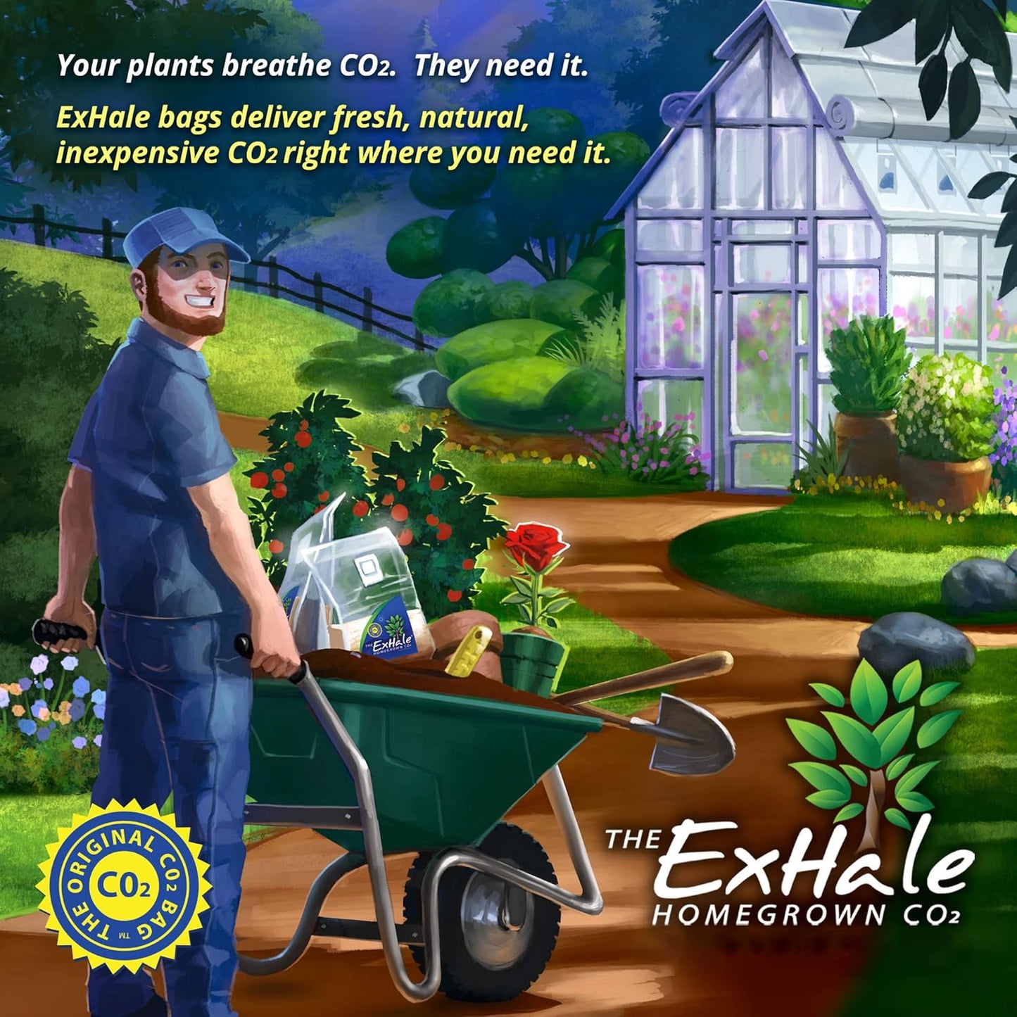 Exhale Co2 365 Self-Activated Bag