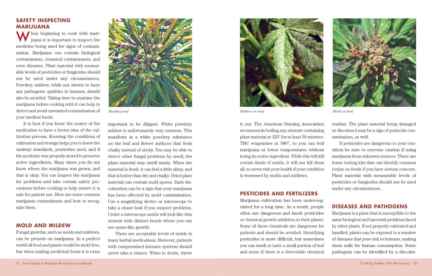 Aunt Sandy's Medical Marijuana Cookbook by Sandy Moriarty