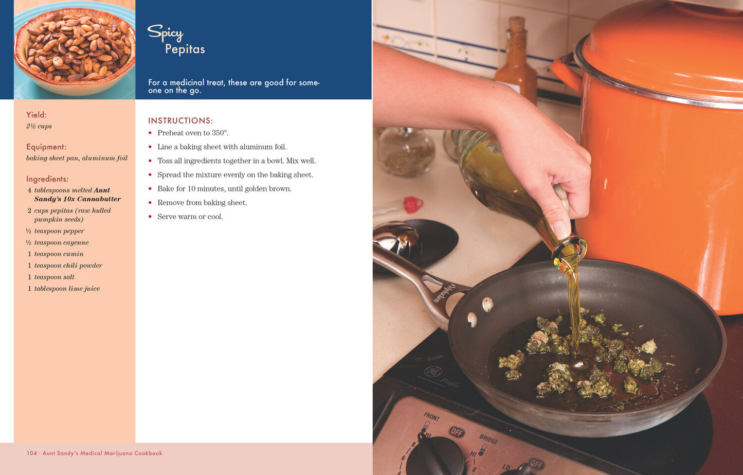 Aunt Sandy's Medical Marijuana Cookbook by Sandy Moriarty