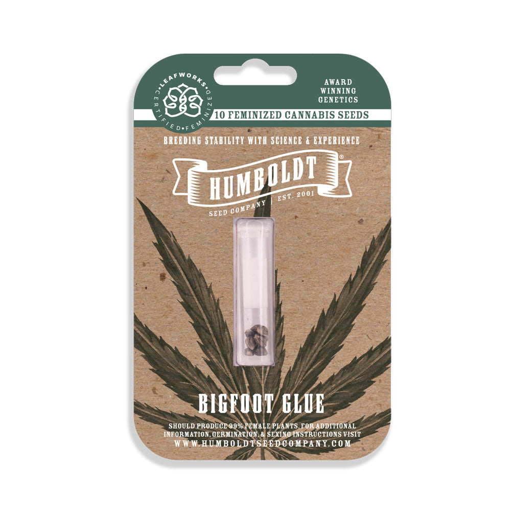 Humboldt Seed Company "Bigfoot Glue" 3pk Feminized