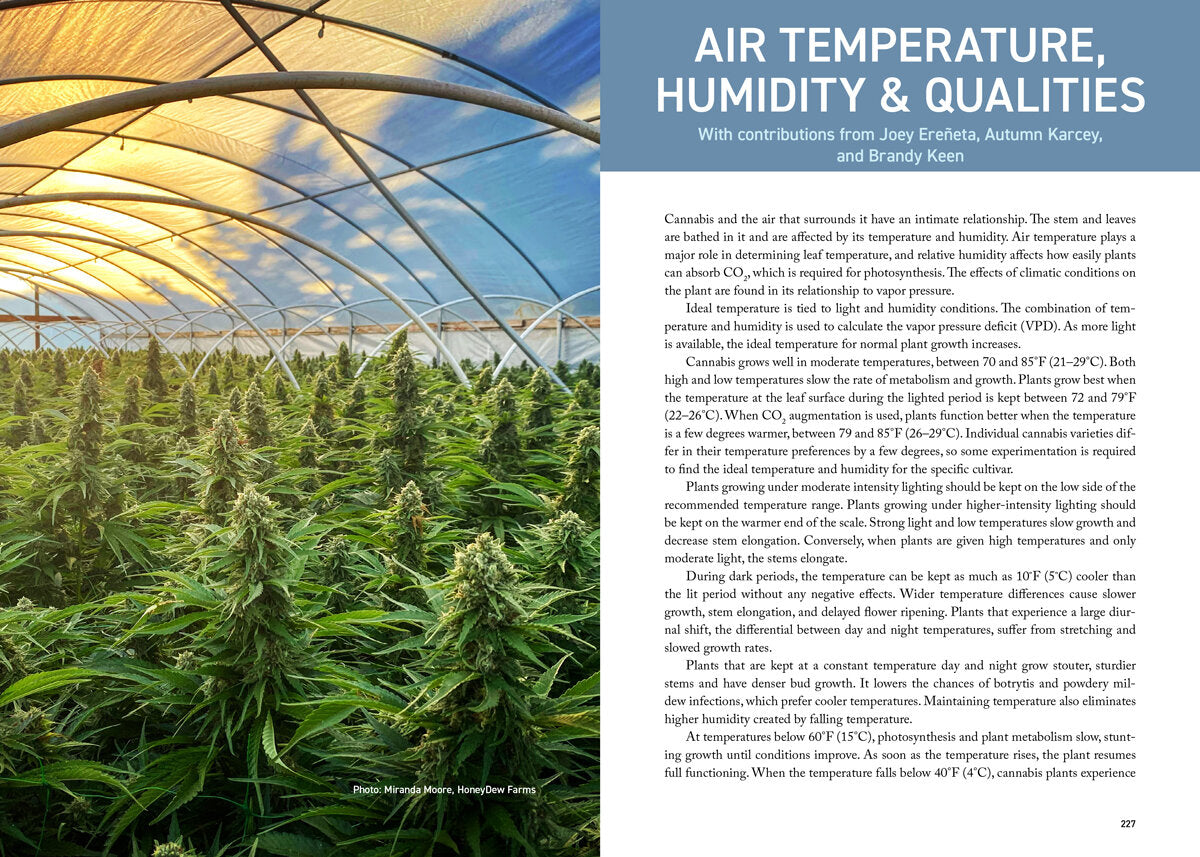 Cannabis Grower's Handbook by Ed Rosenthal