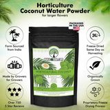 BuildASoil Coconut Water Powder - Raw Freeze Dried Organic 1/2lb