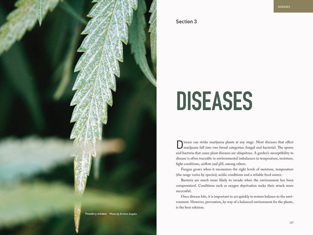 Marijuana Garden Saver by Ed Rosenthal