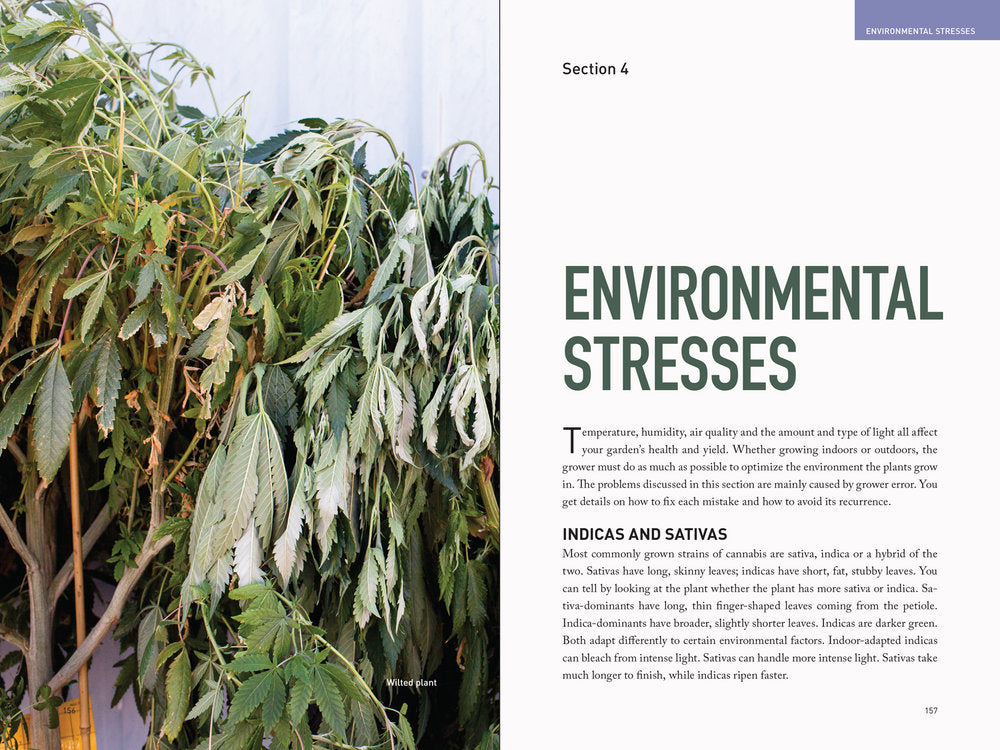 Marijuana Garden Saver by Ed Rosenthal