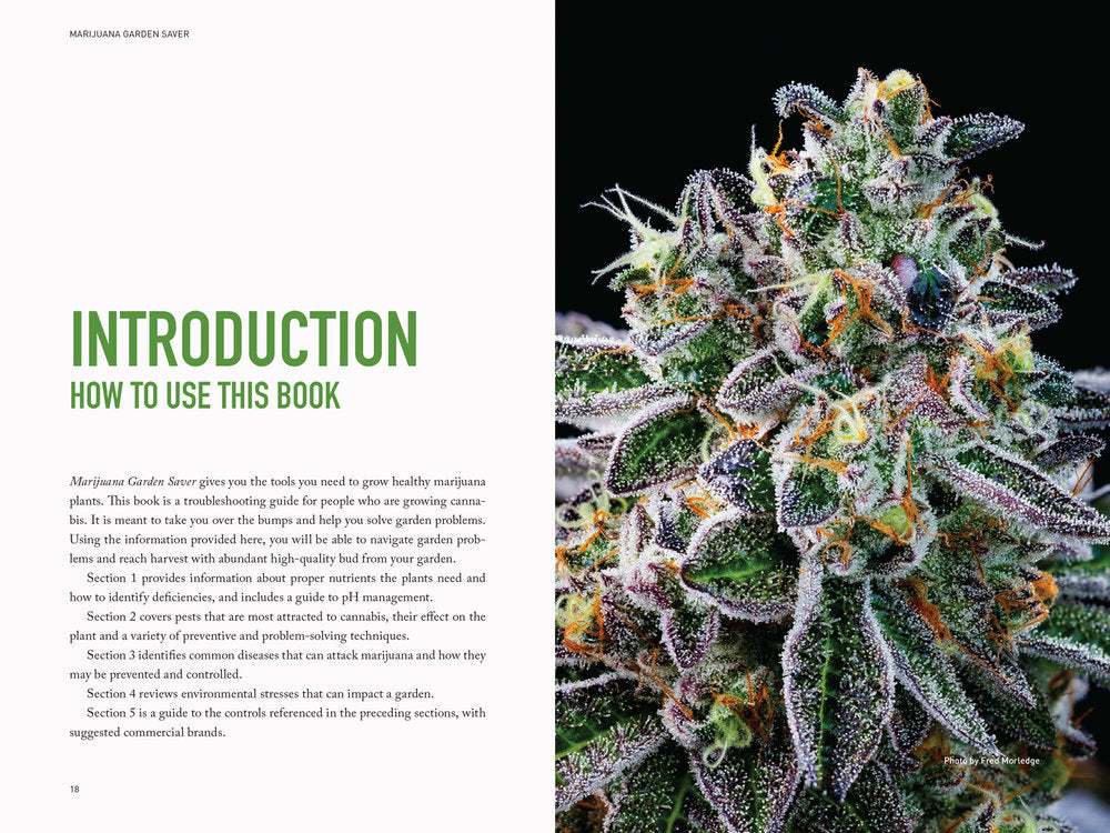 Marijuana Garden Saver by Ed Rosenthal