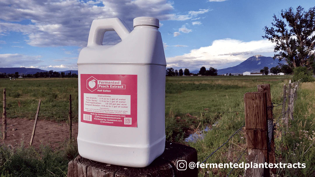 BuildASoil Peach Ferment Extract 1 Gallon