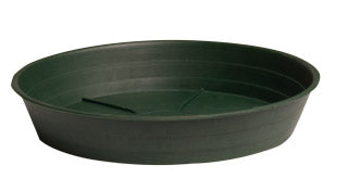 Premium Saucer Green 16"