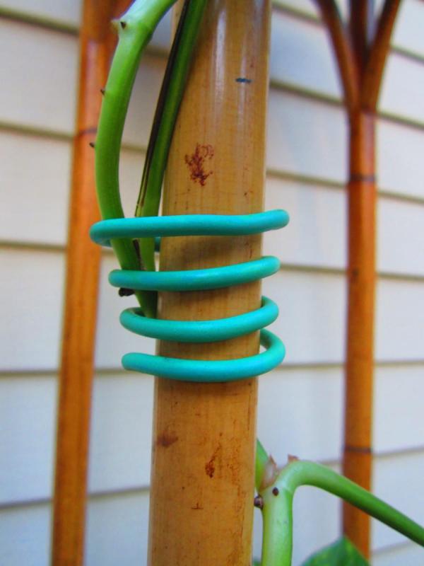 Growers Edge Garden Plant Tie 16ft