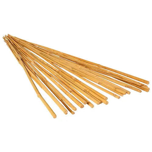 Grow It 3' 25ct Bamboo Stakes