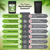 BuildASoil Coconut Water Powder - Raw Freeze Dried Organic 1/2lb