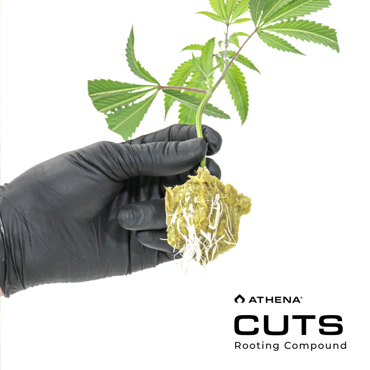Athena Cuts Rooting Gel, 8 oz