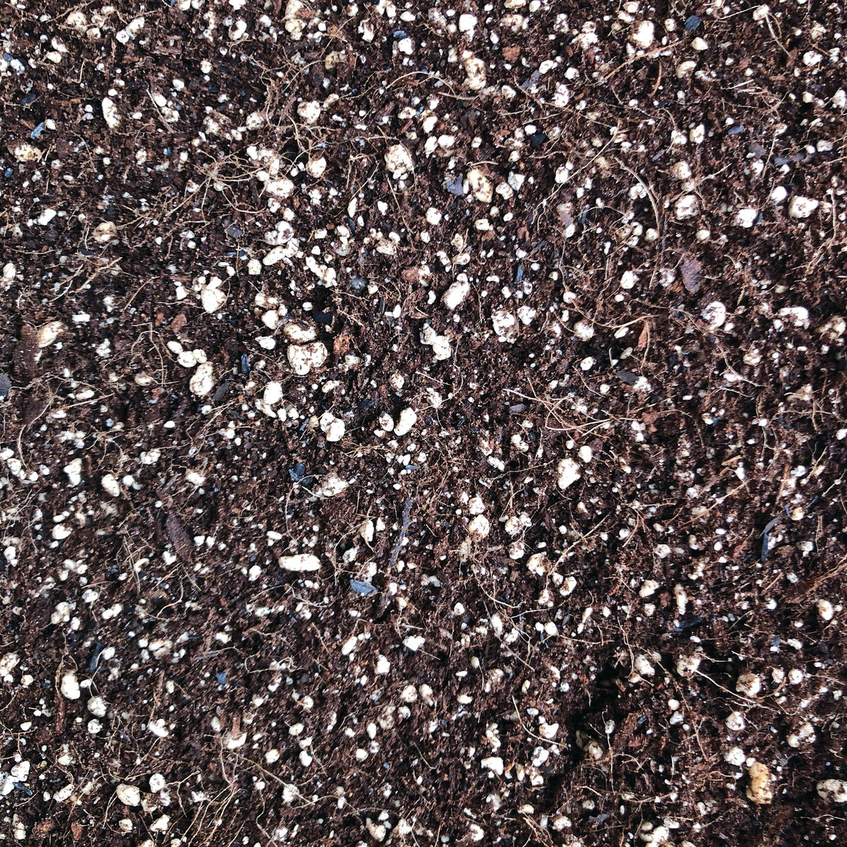 ORGANIC MECHANICS® 110 BLEND Potting Soil