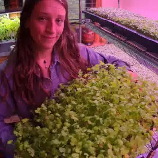 AutoPot Tray2Grow System Microgreens Setup x2 Tray