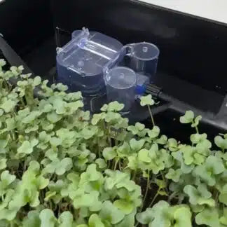 AutoPot Tray2Grow System Microgreens Setup x2 Tray