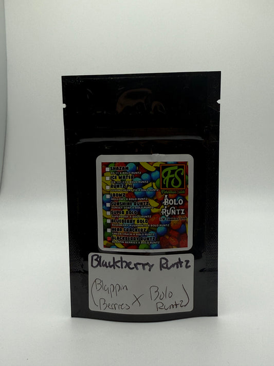 Fisherman Seeds "Blackberry Runtz" 5pk Feminized Seeds