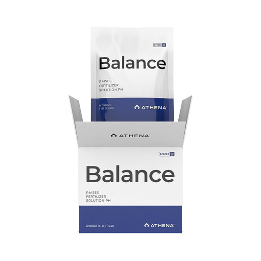Athena Pro Balance 10lb Box