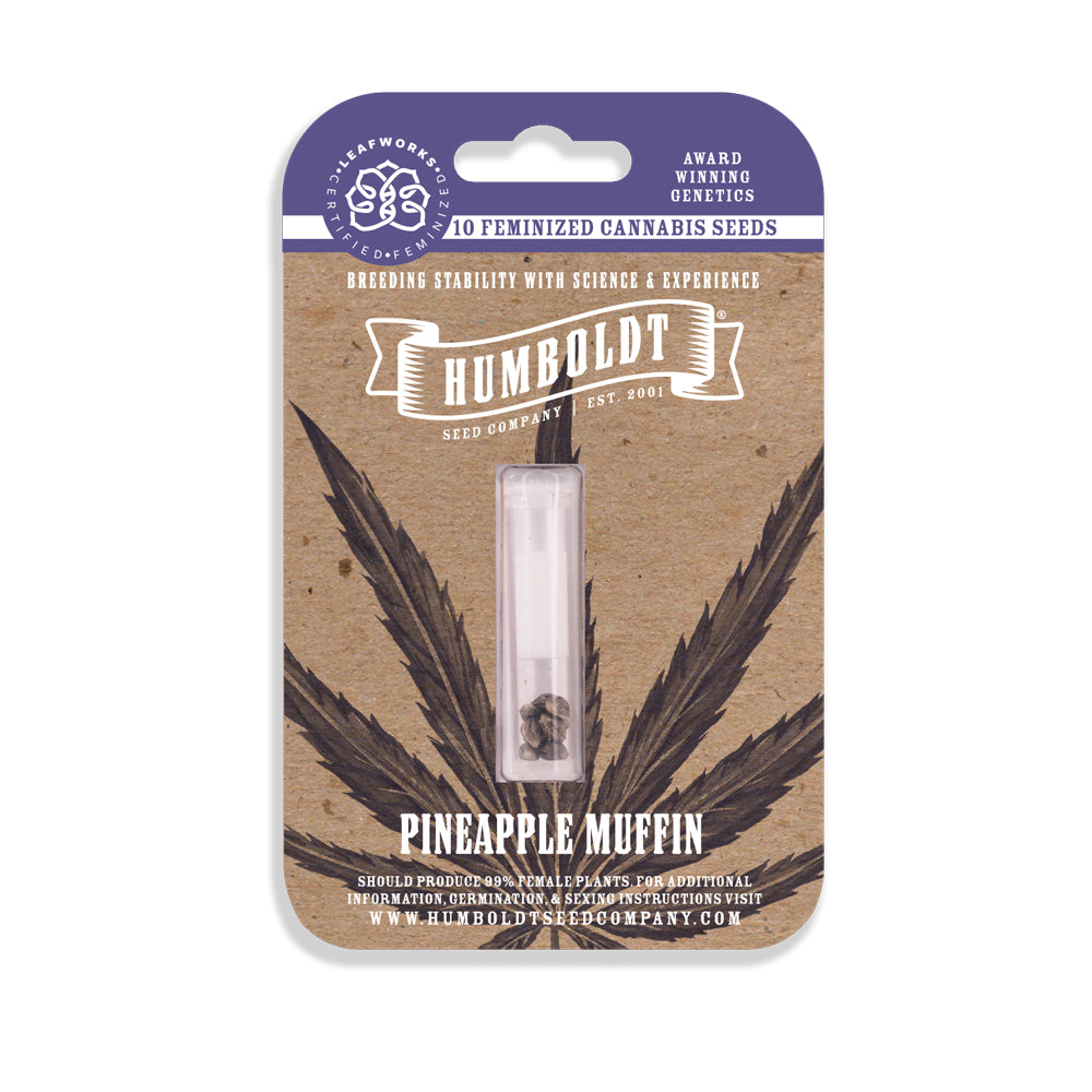 Humboldt Seed Company "Pineapple Muffin" 3pk Feminized