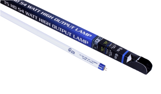 Ultra Sun T5 Lamp Blue 6500k Bulb
