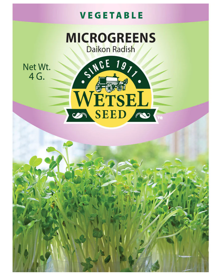 Wetsel Seed Microgreens, "Daikon Radish" 4g